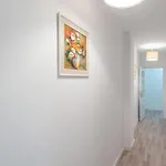 Apartment Near The City Centre + Free Parking